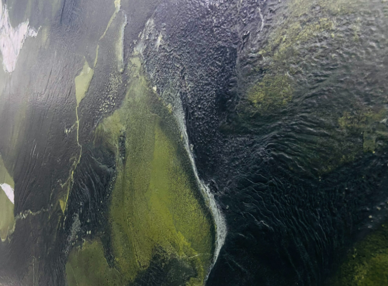 Vitoria Regia Quartzite Leather Surface 