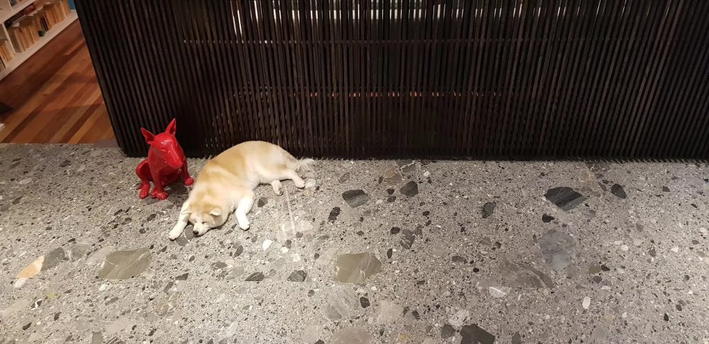 Fossil Grey Marble Kitchen Countertops