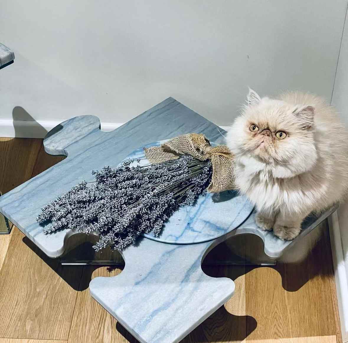 Azul Macaubas Quartzite table tops