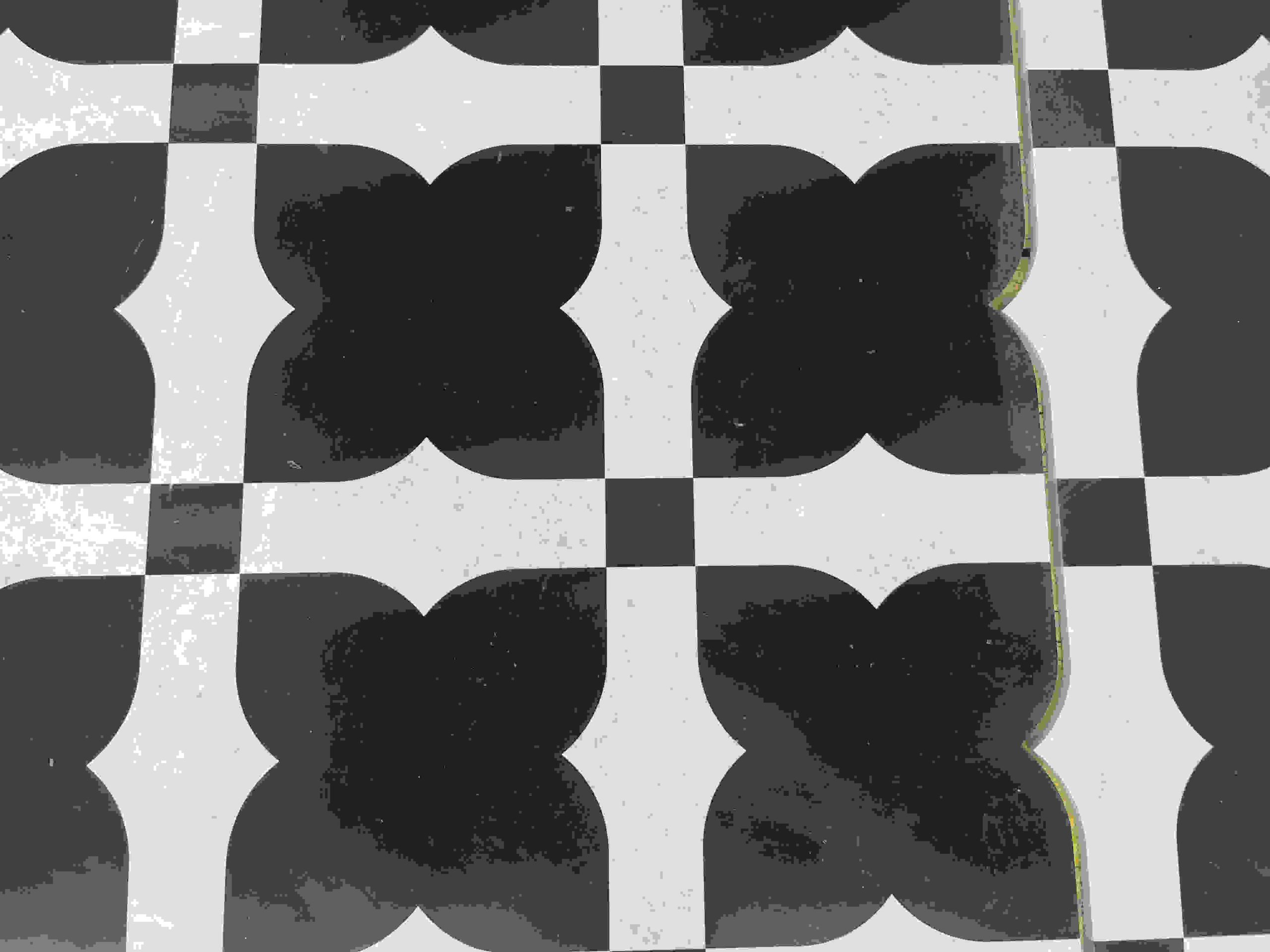 Black and White Waterjet Marble Tiles
