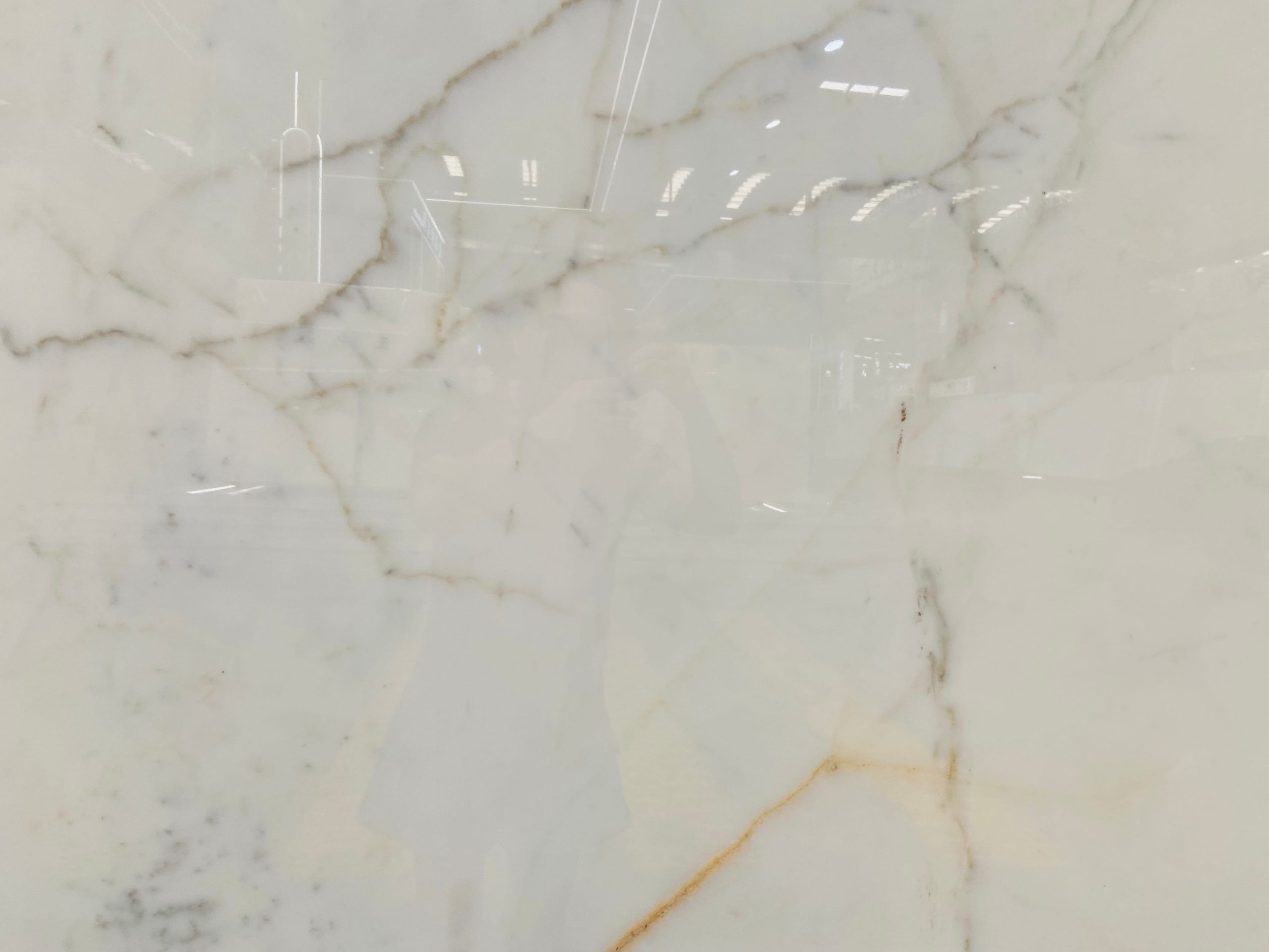 Calacatta Delicato Marble Slabs