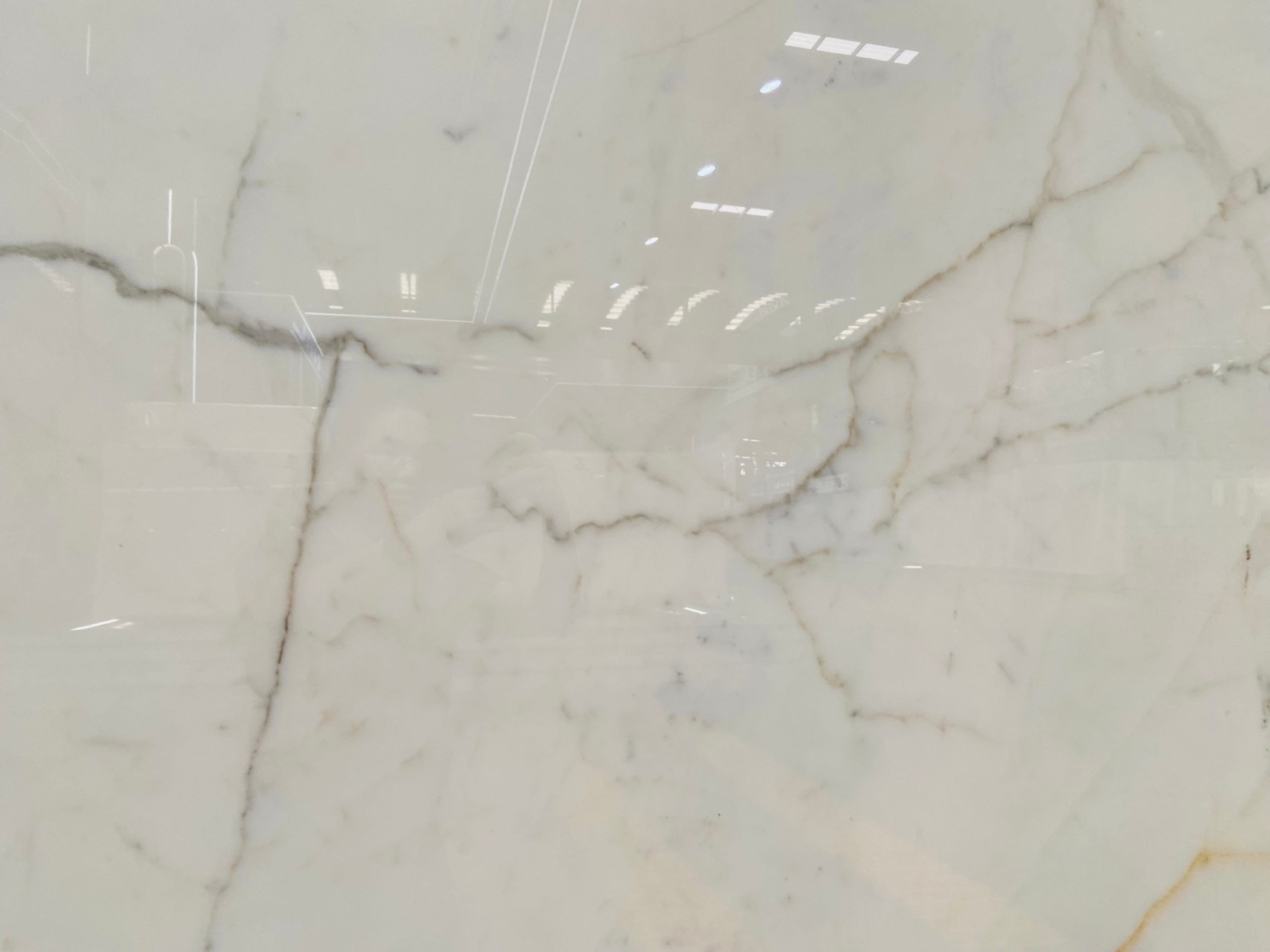 Calacatta Delicato Marble Slabs