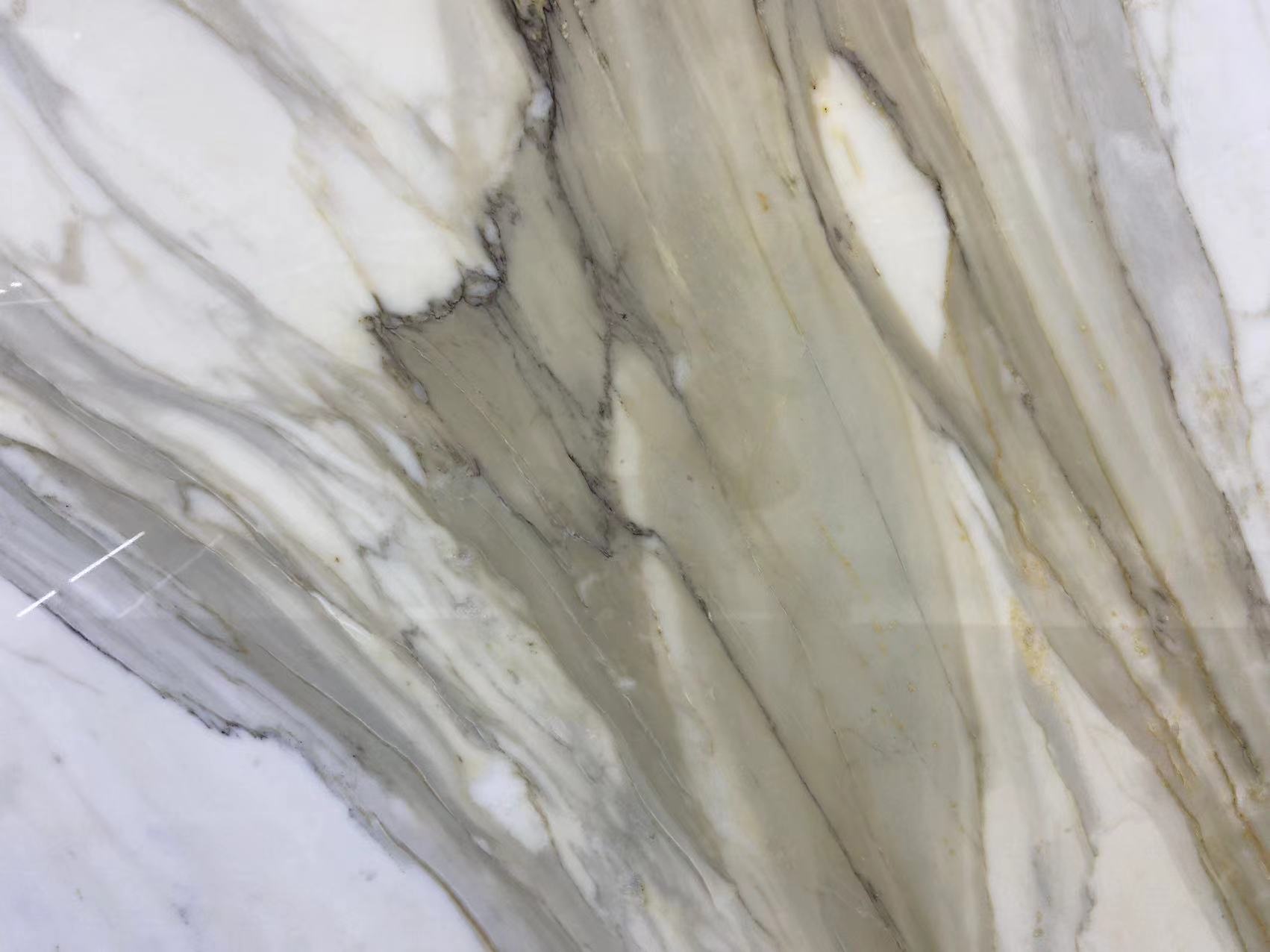 Calacatta Gold Marble