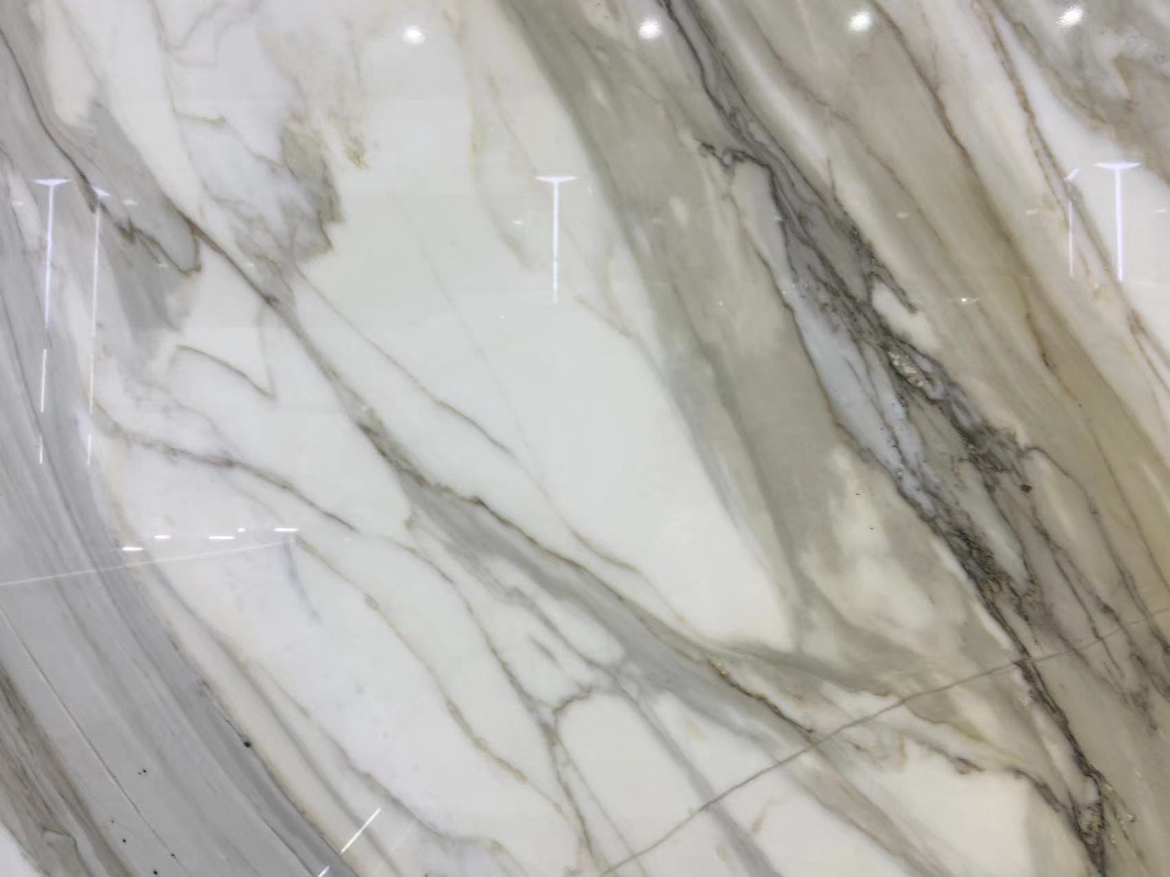 Calacatta Gold Marble