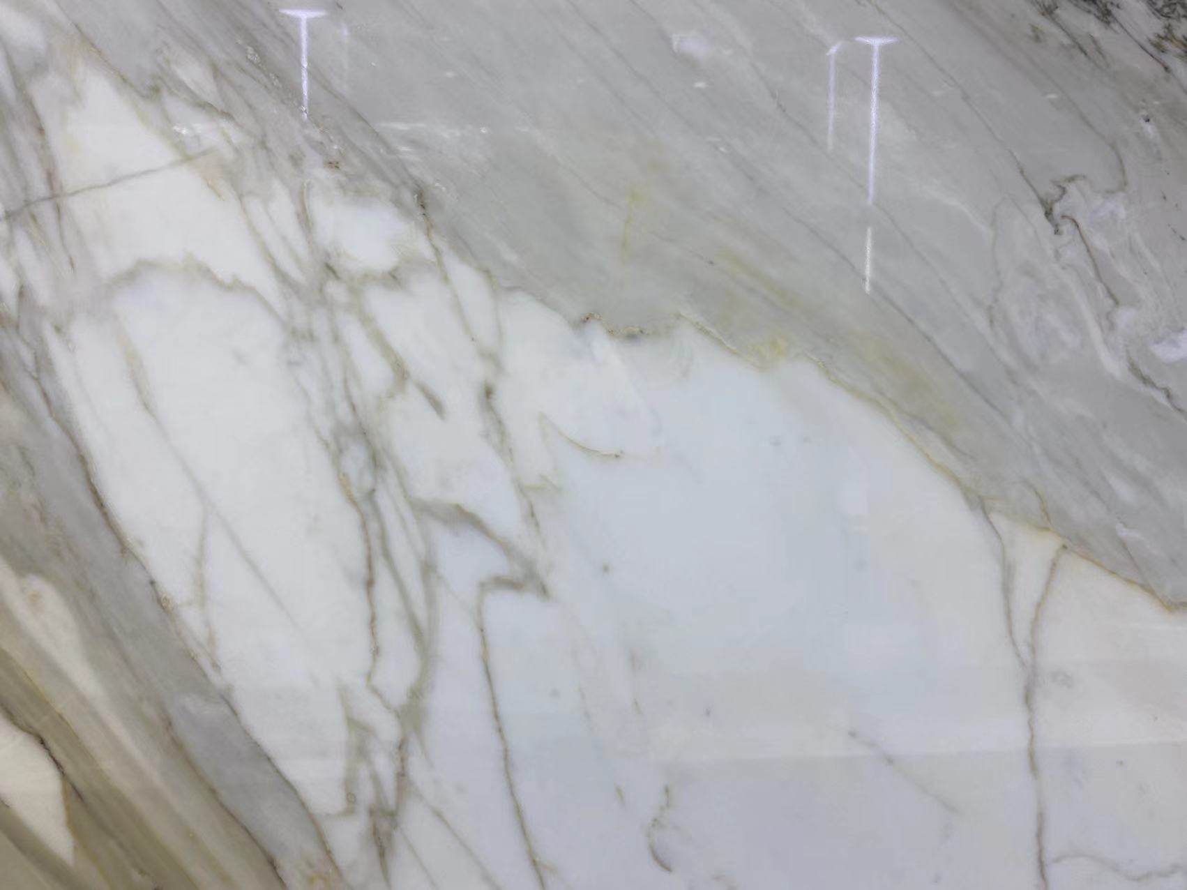 Calacatta Gold Marble