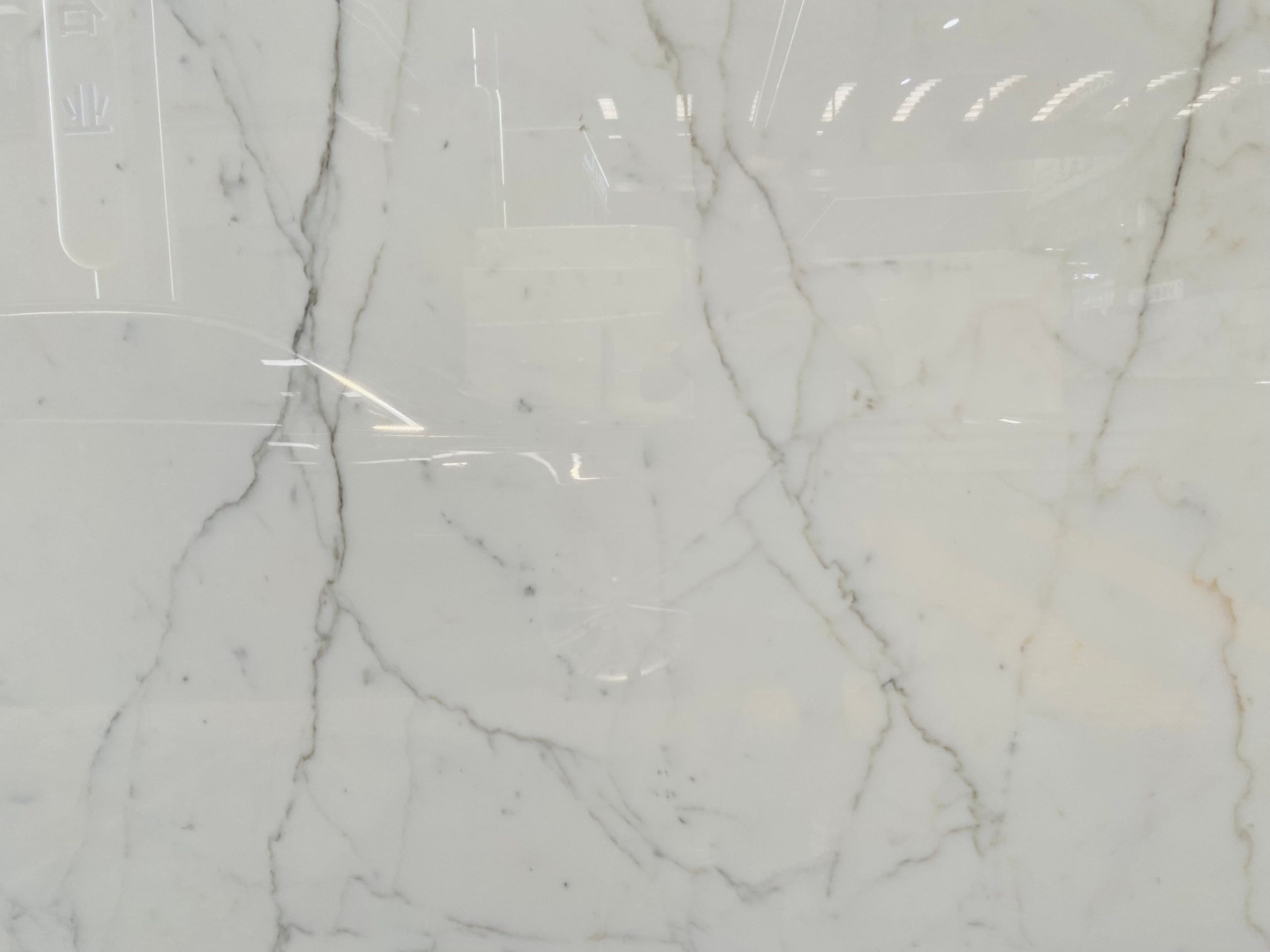 Calacatta Delicato Marble Slabs