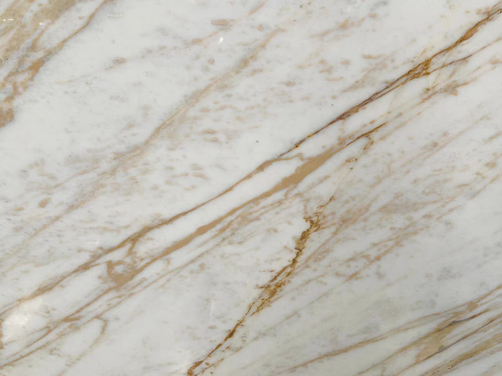 Calacatta Vagli Gold colors