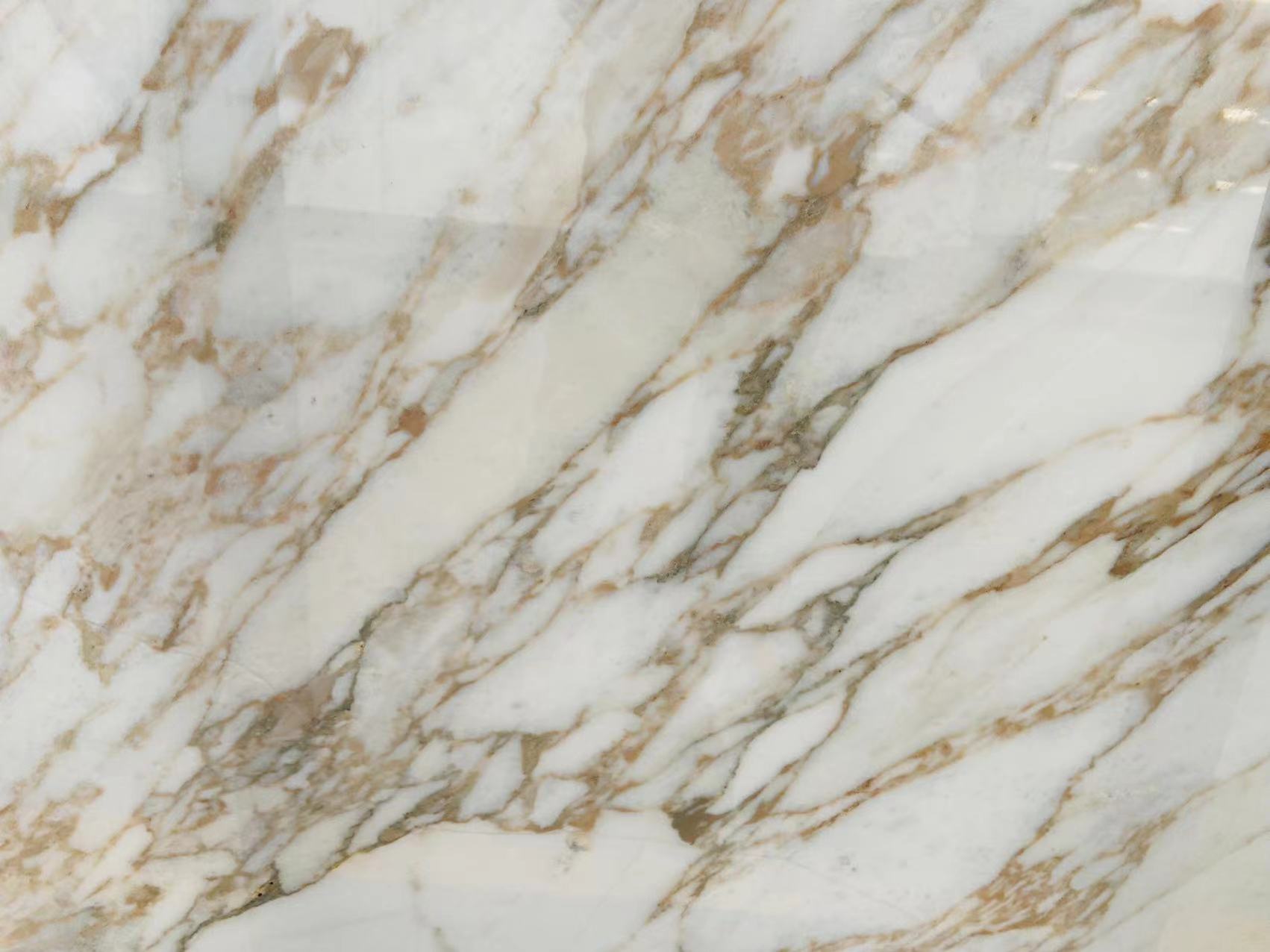 Calacatta Vagli Marble