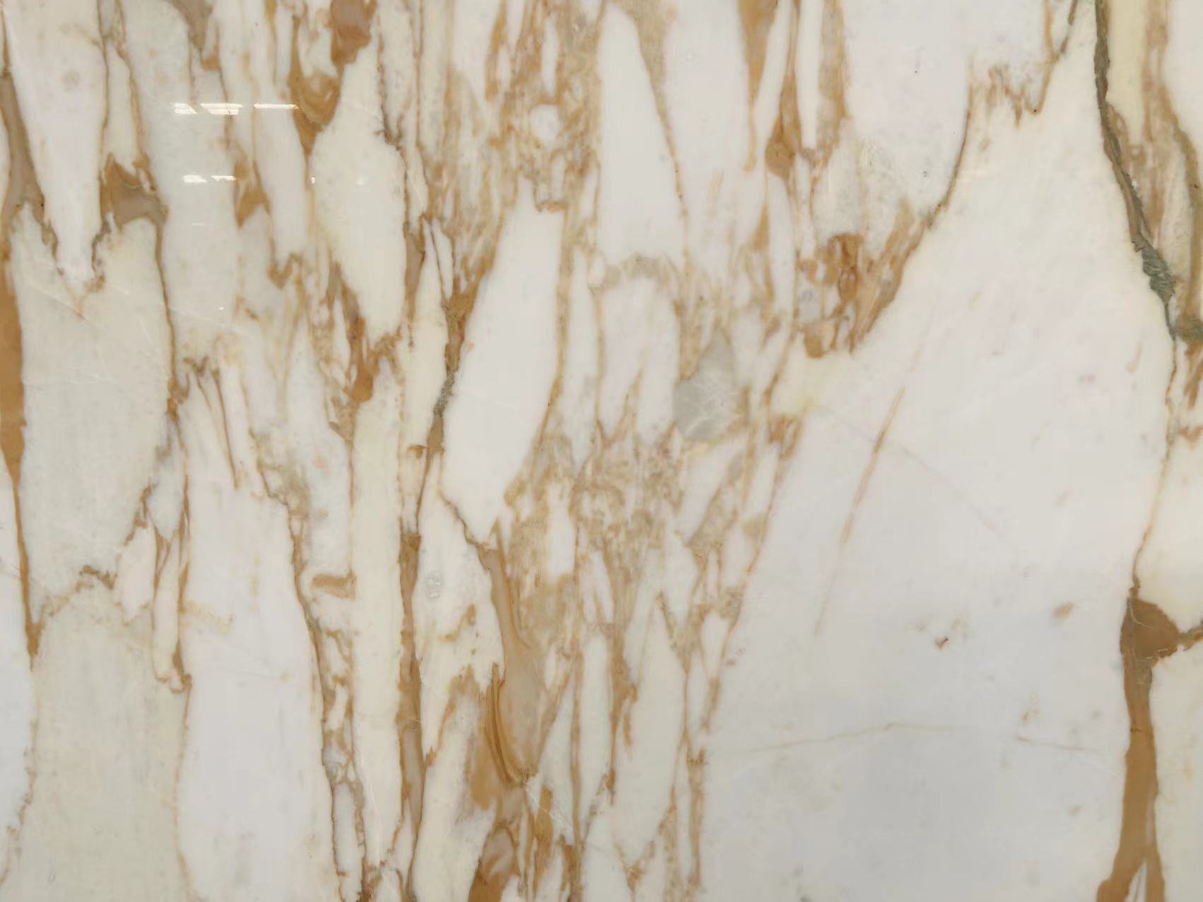 Calacatta Vagli Oro Marble