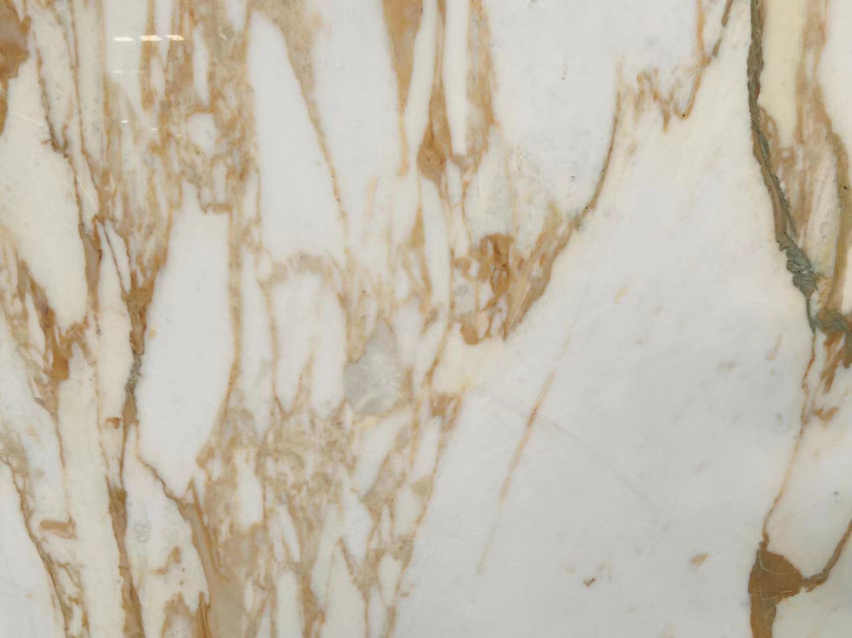 Calacatta Vagli Oro Marble