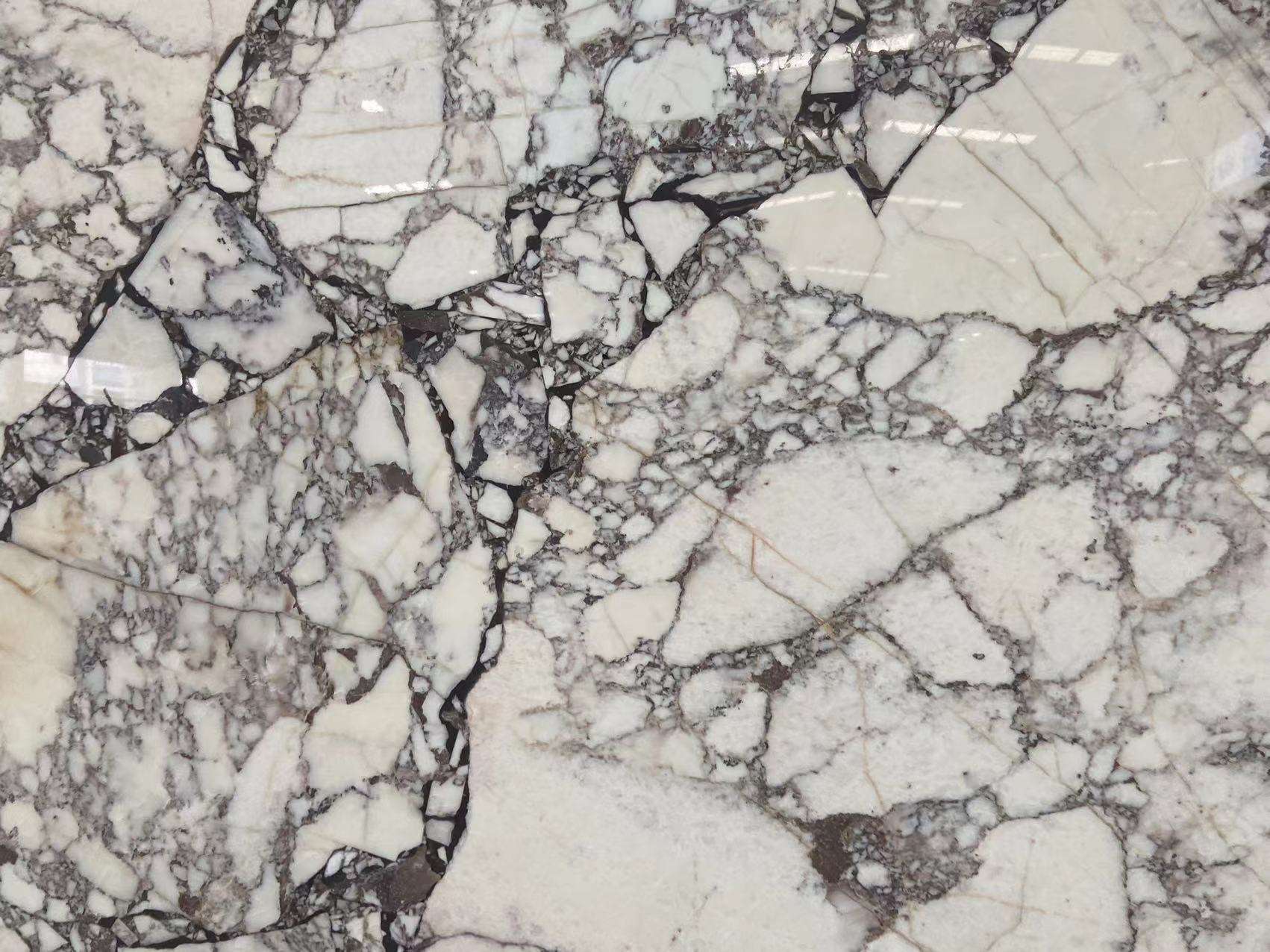 Calacatta Viola Marble