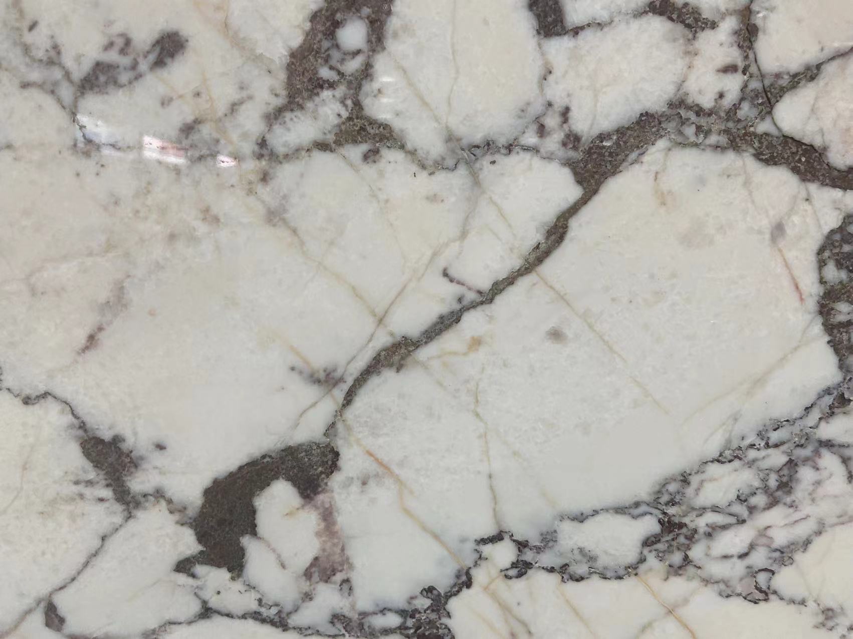 Calacatta Viola Marble