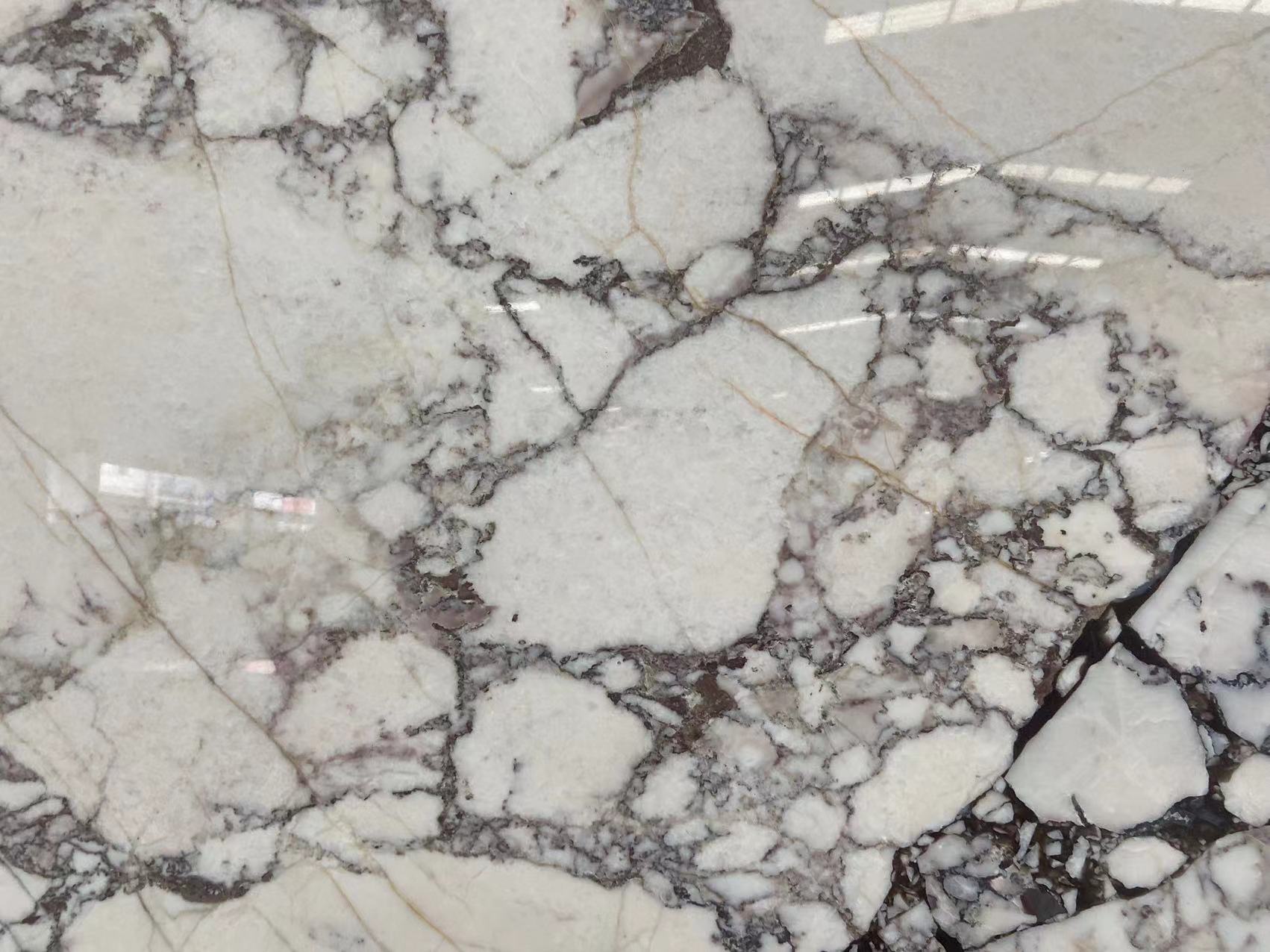 Calacatta Viola Marble