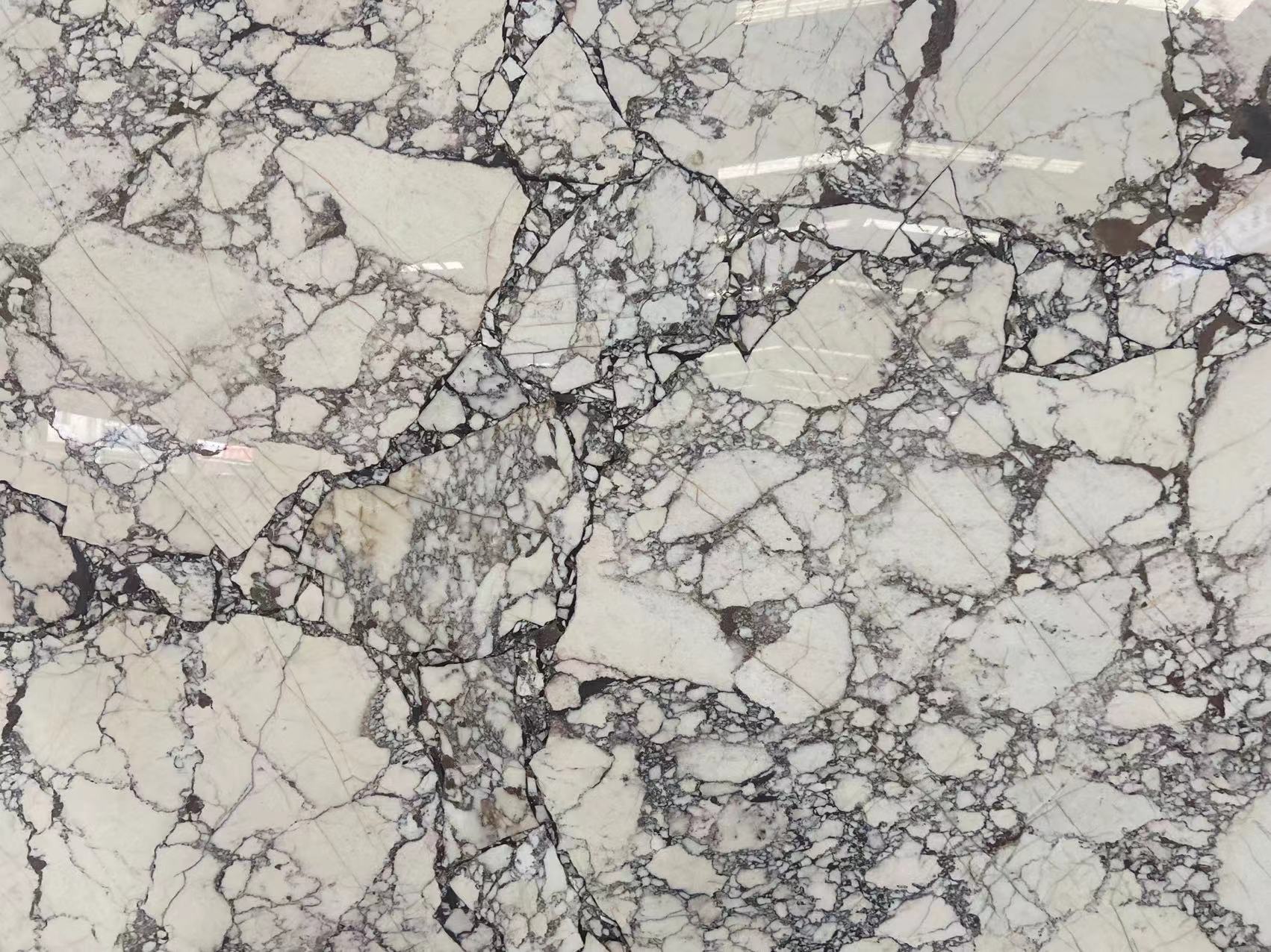 Calacatta Viola Marble