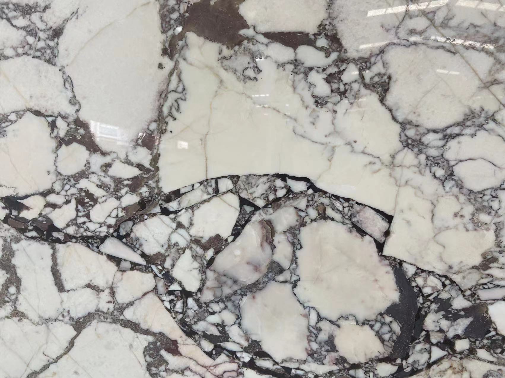 Calacatta Viola Marble