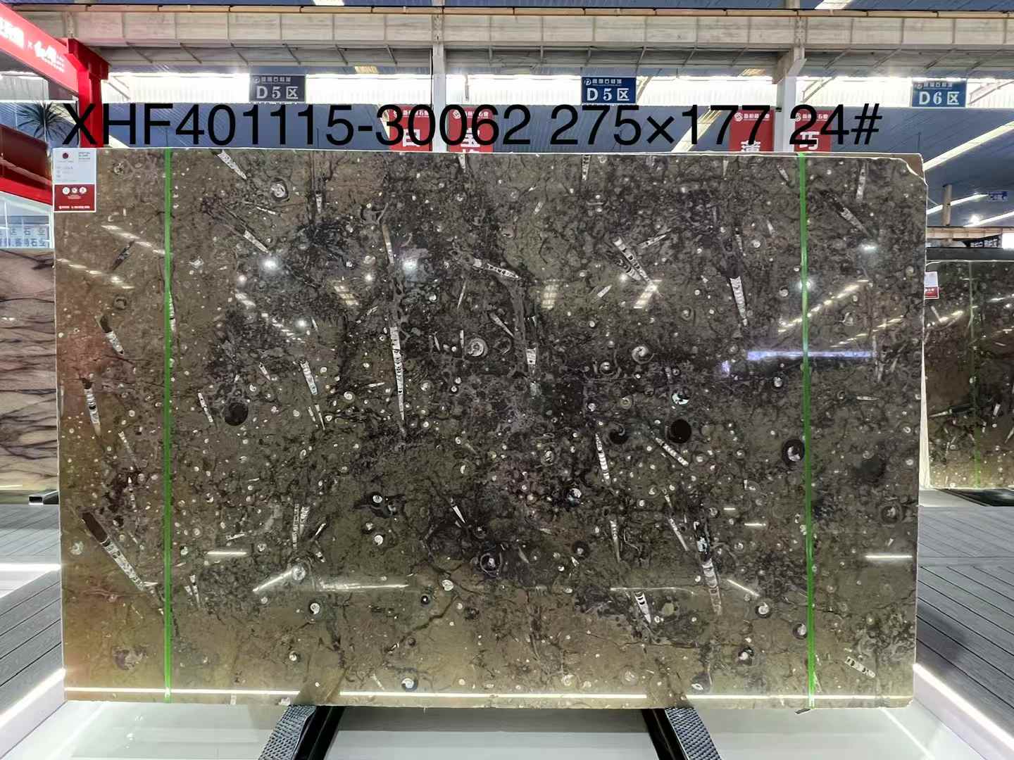 Gran Fossil Marble Polished Surface