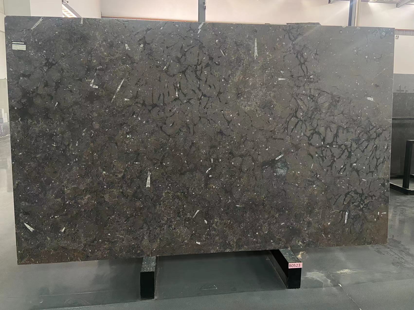 Gran Fossil Marble Leather Surface