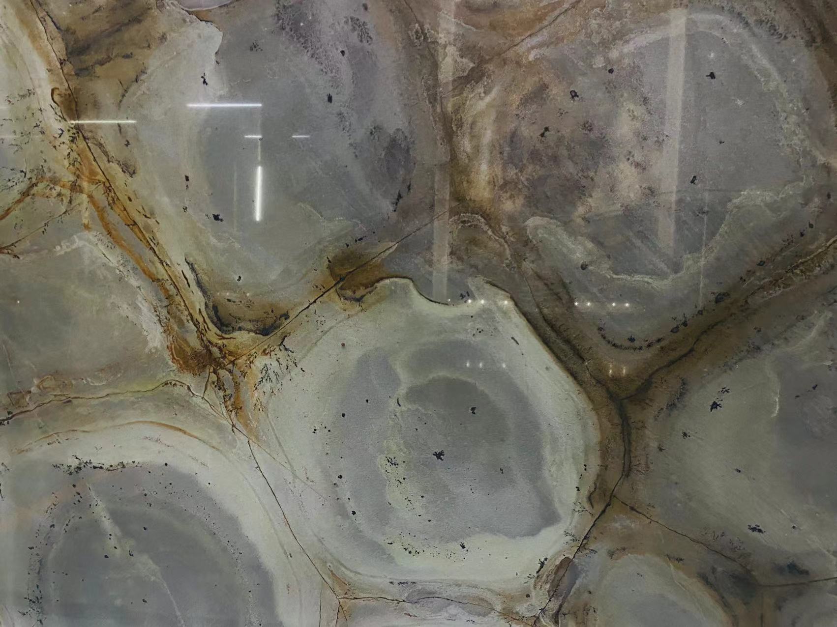 Green Turtle Quartzite