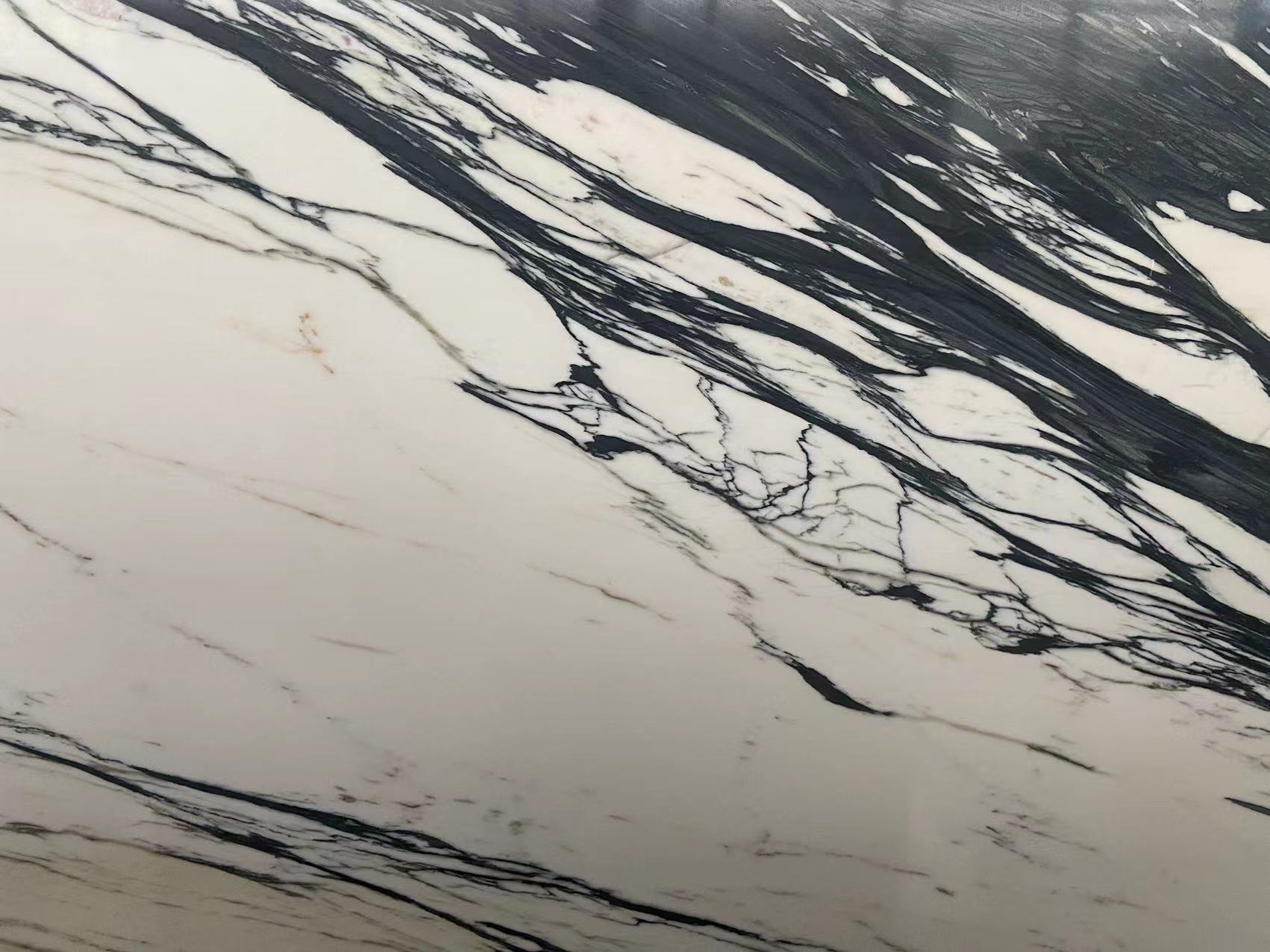 Oriental Calacatta Marble