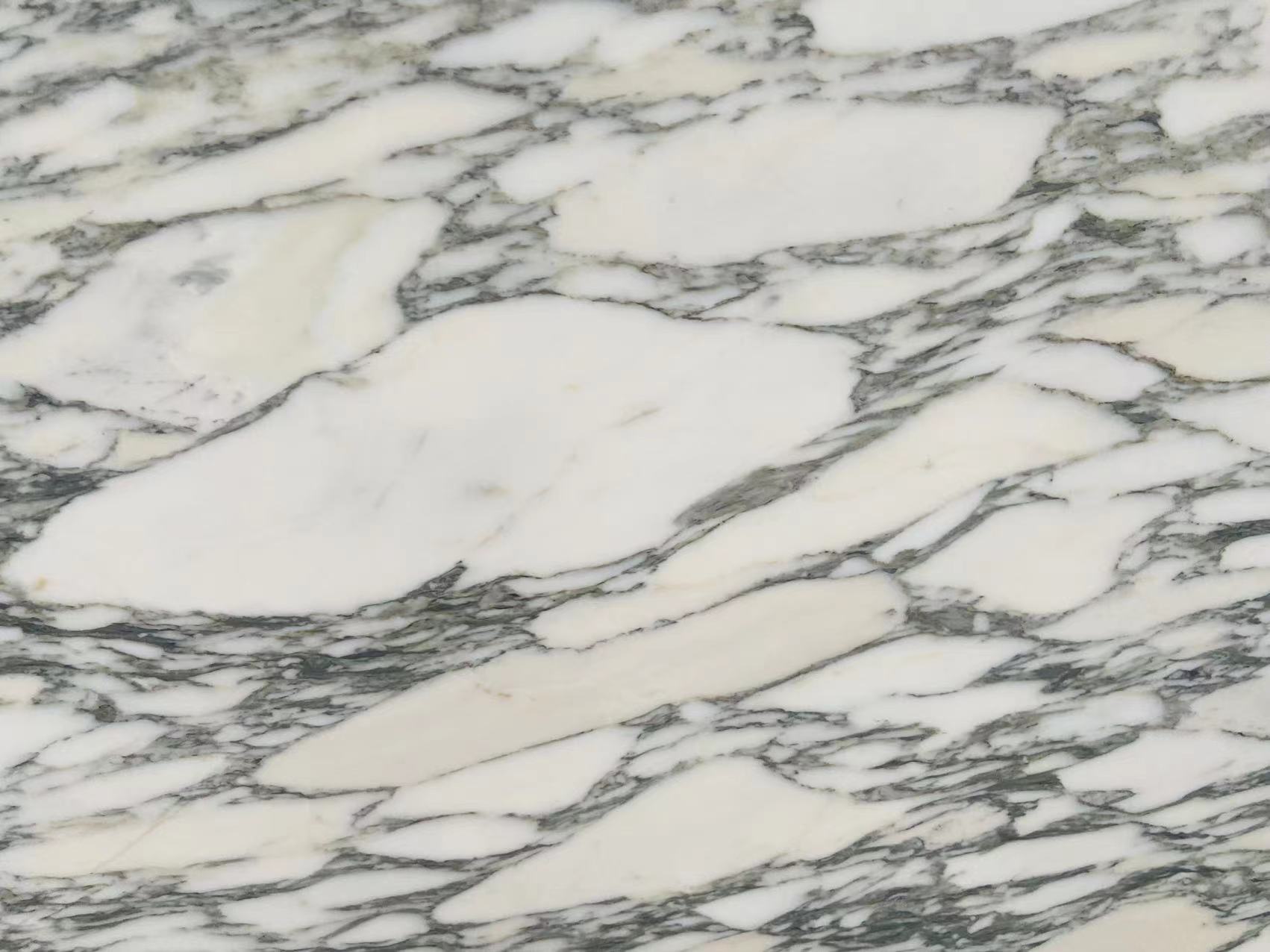 Arabescato Corchia Marble
