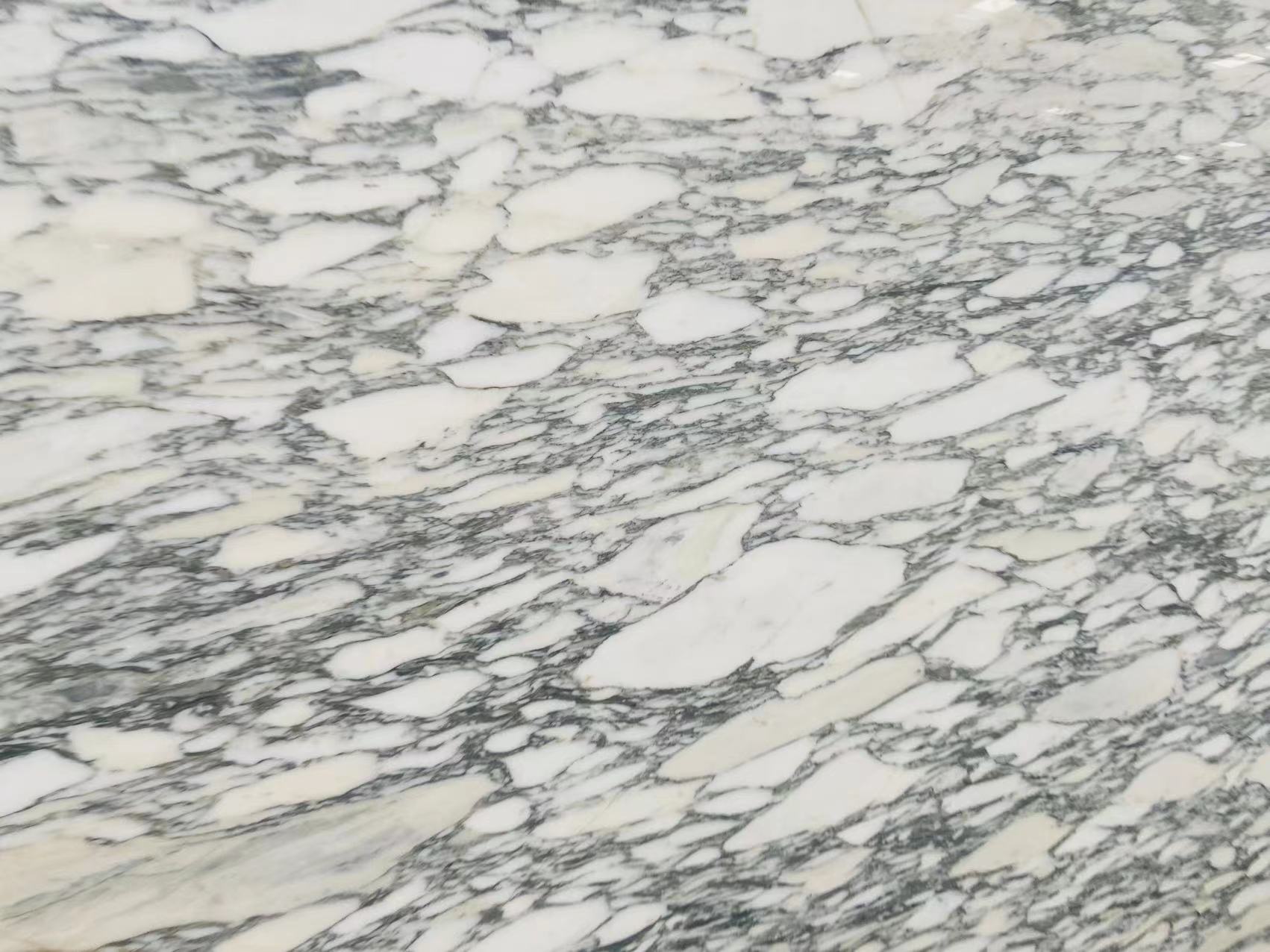 Arabescato Corchia Marble