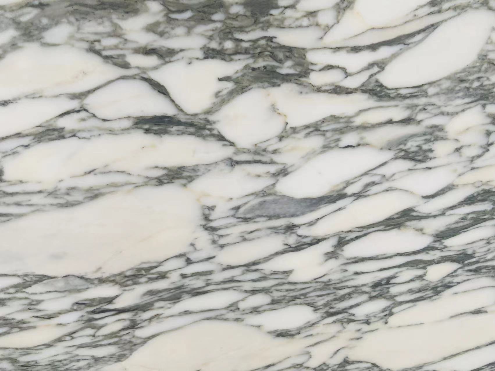 Arabescato Corchia Marble