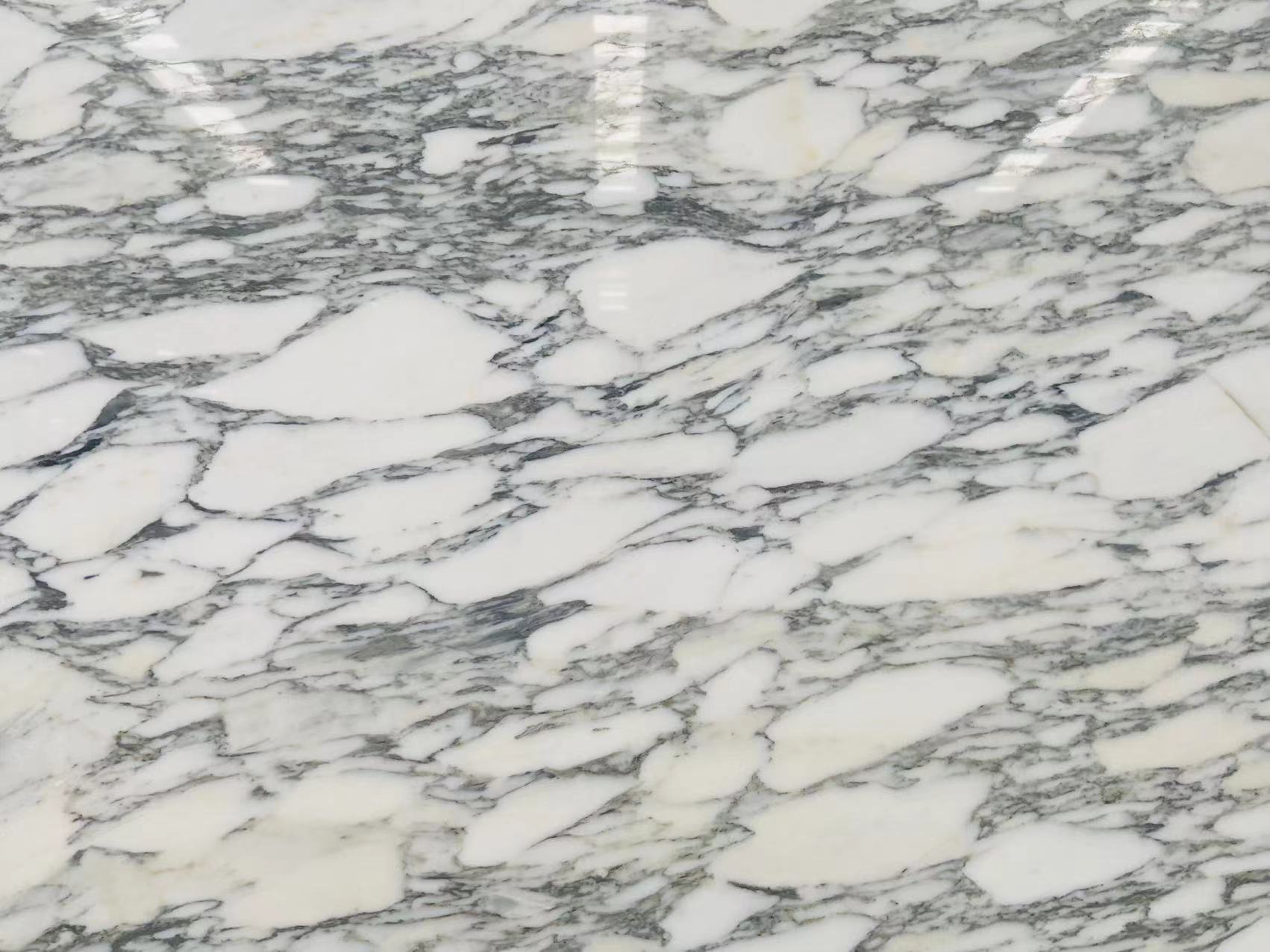 Arabescato Corchia Marble