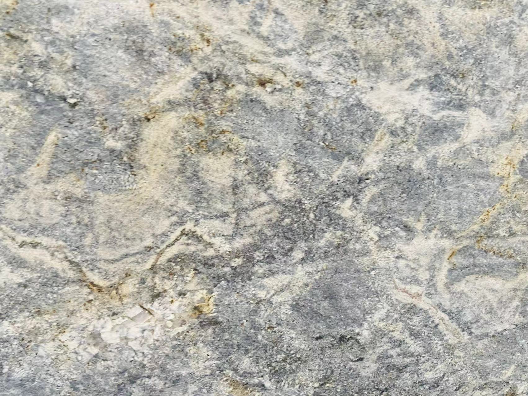 Azul Aran Granite