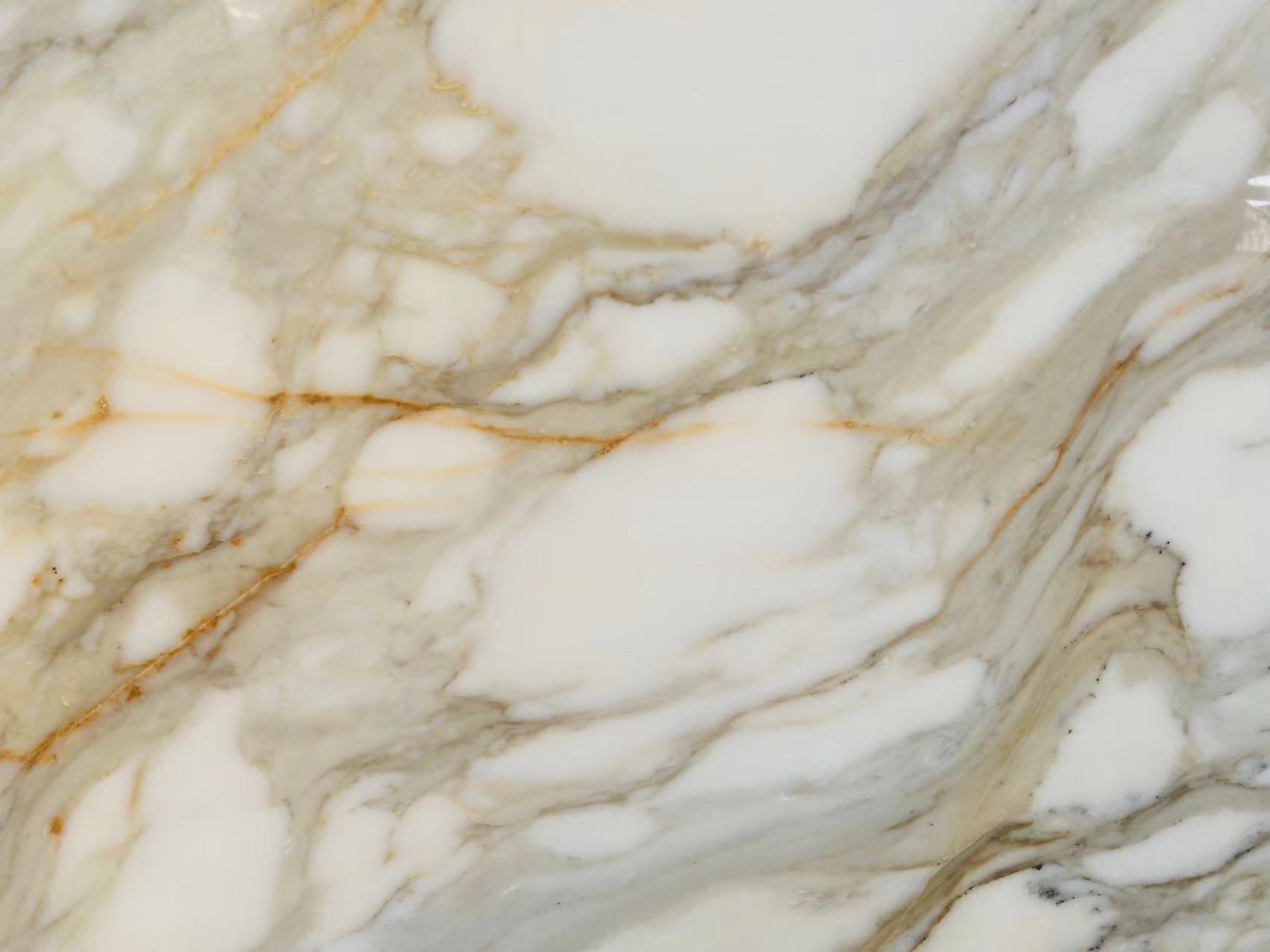 Calacatta Gold Borghini Marble