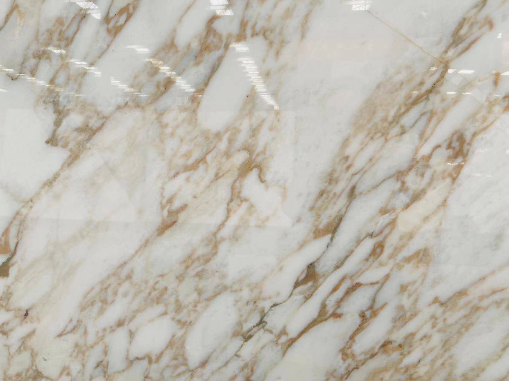Calacatta Vagli Marble