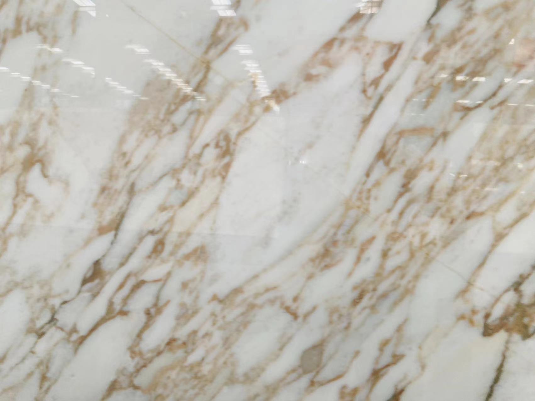 Calacatta Vagli Marble