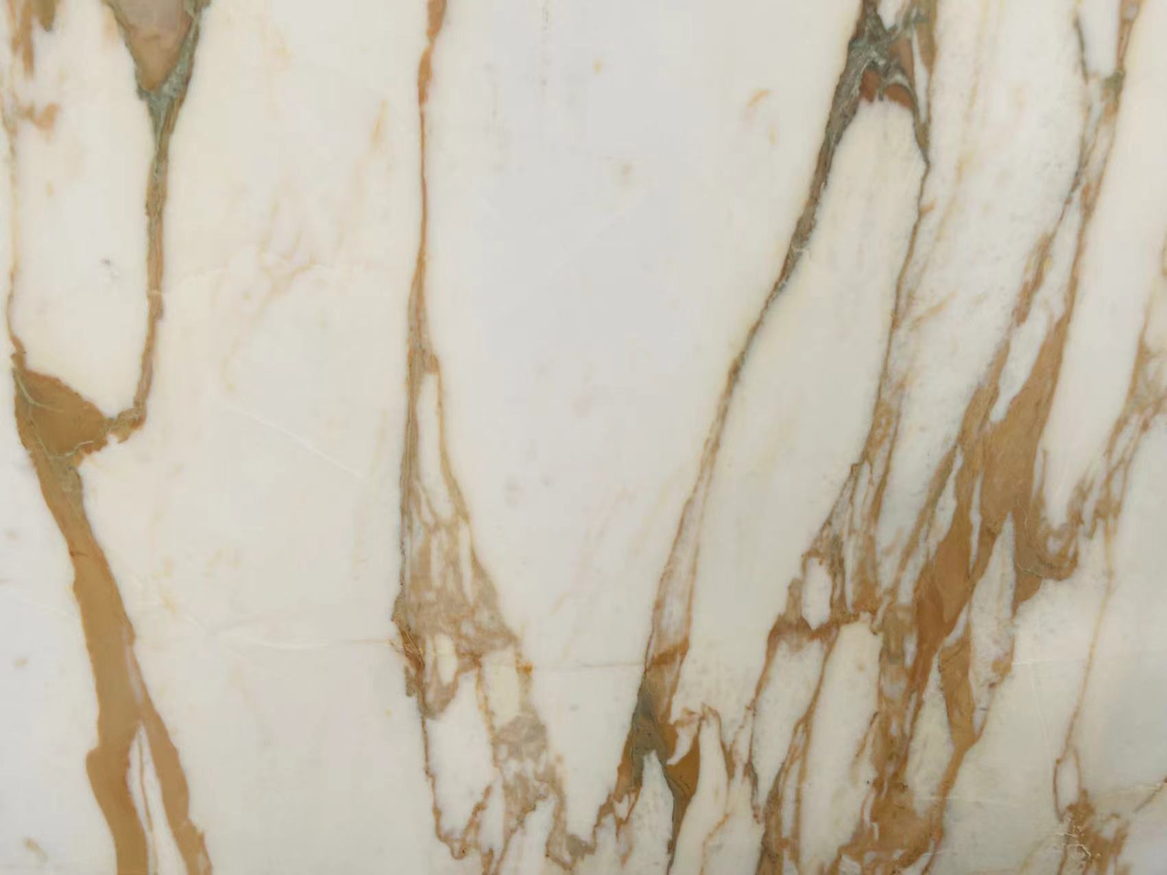 Calacatta Vagli Marble