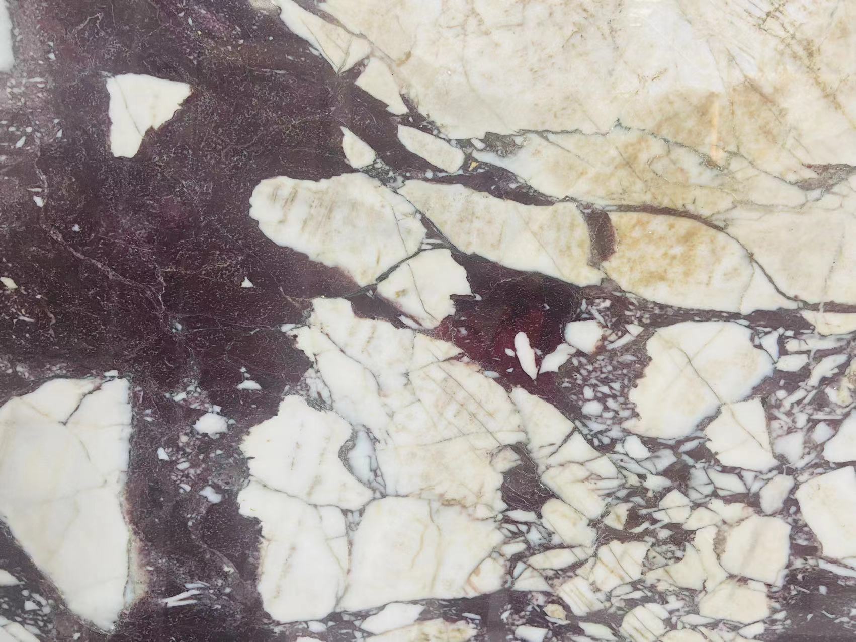 China Calacatta Viola marble