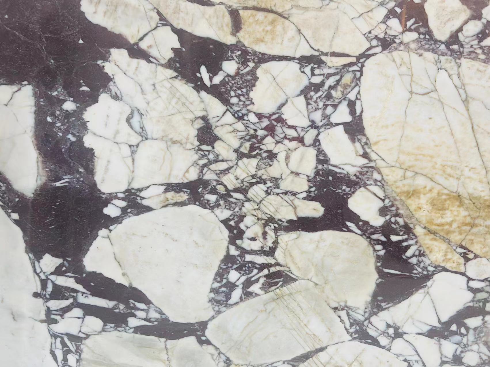 China Calacatta Viola marble