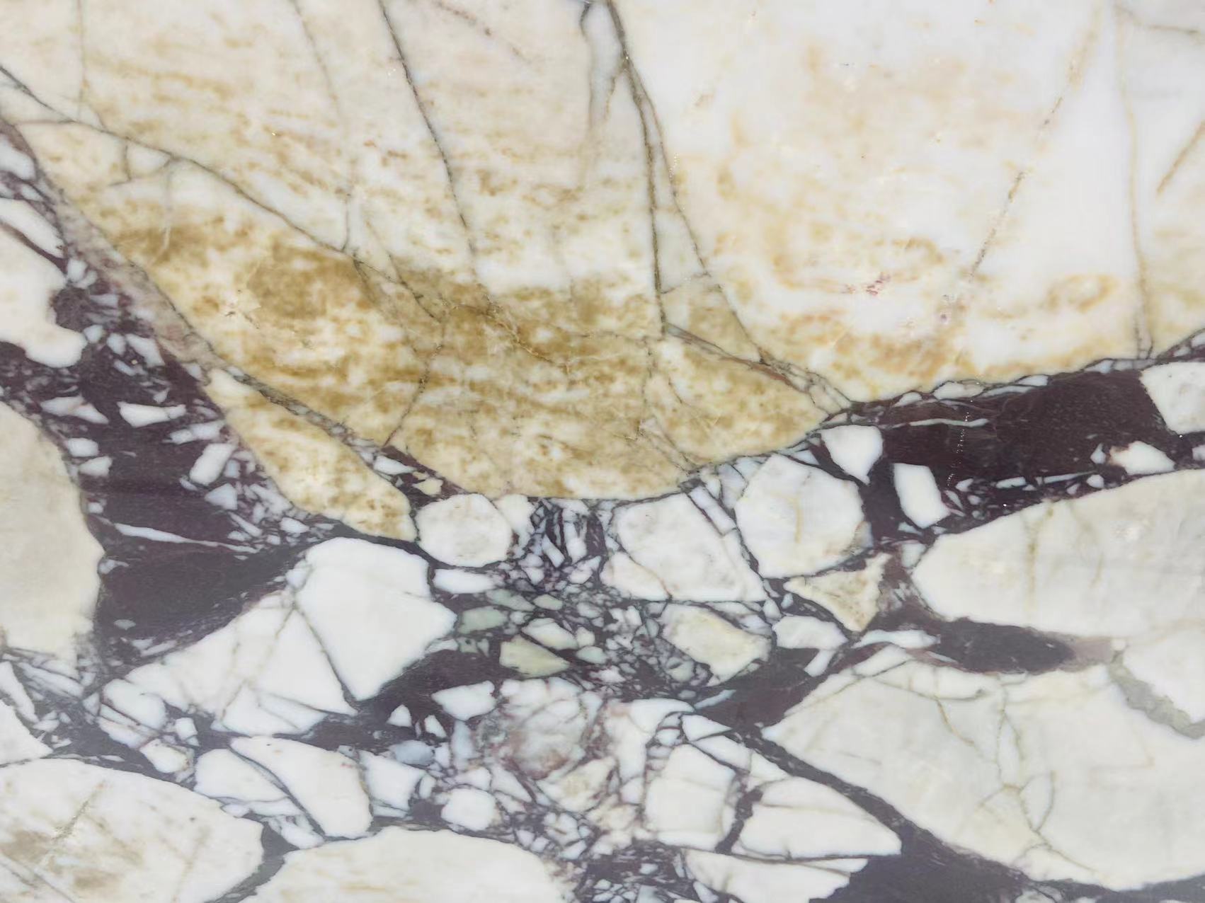 China Calacatta Viola marble