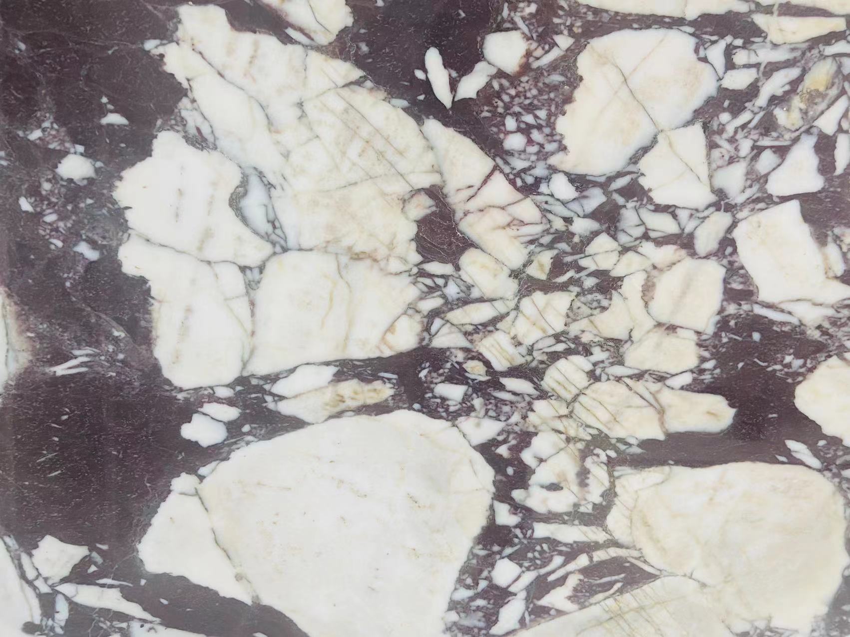 China Calacatta Viola marble