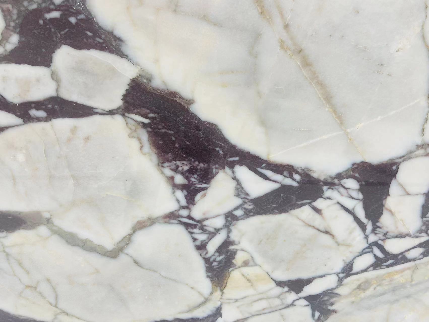 China Calacatta Viola marble