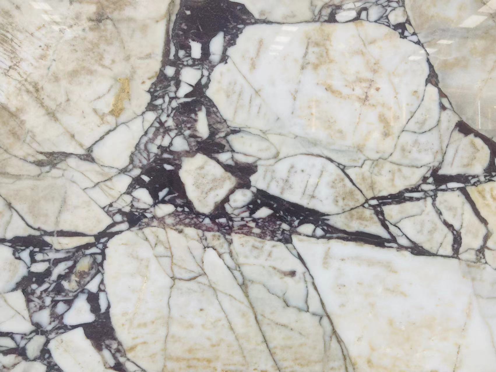 China Calacatta Viola marble