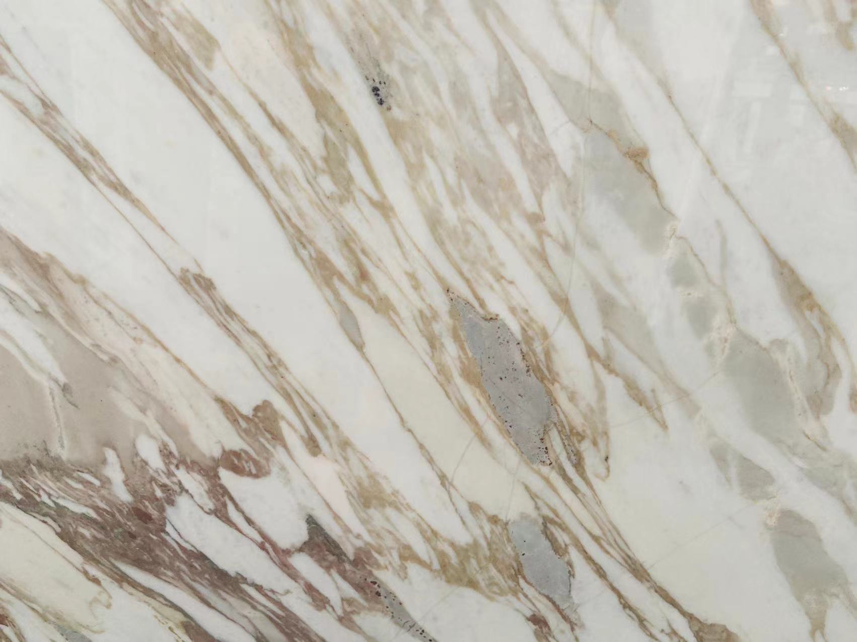 Calacatta Gold Marble