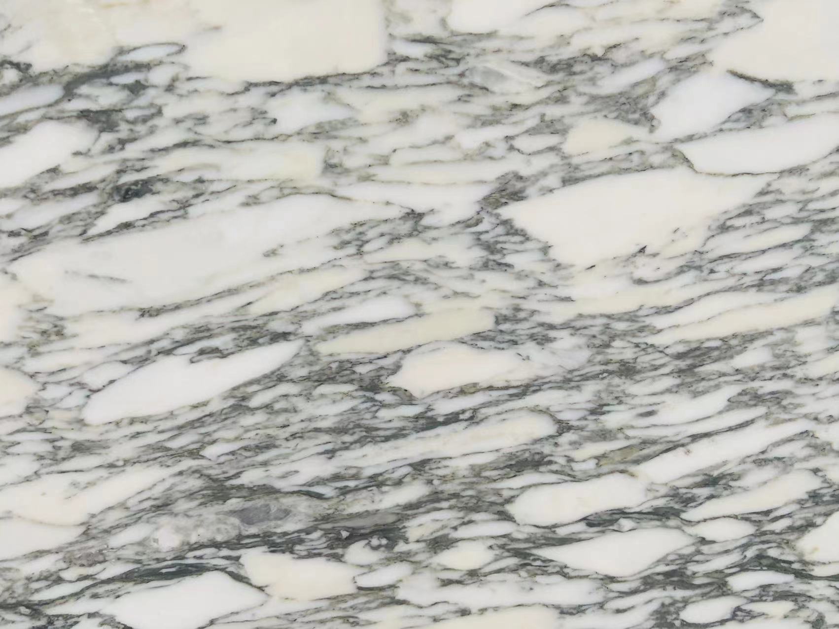 Arabescato Corchia Marble