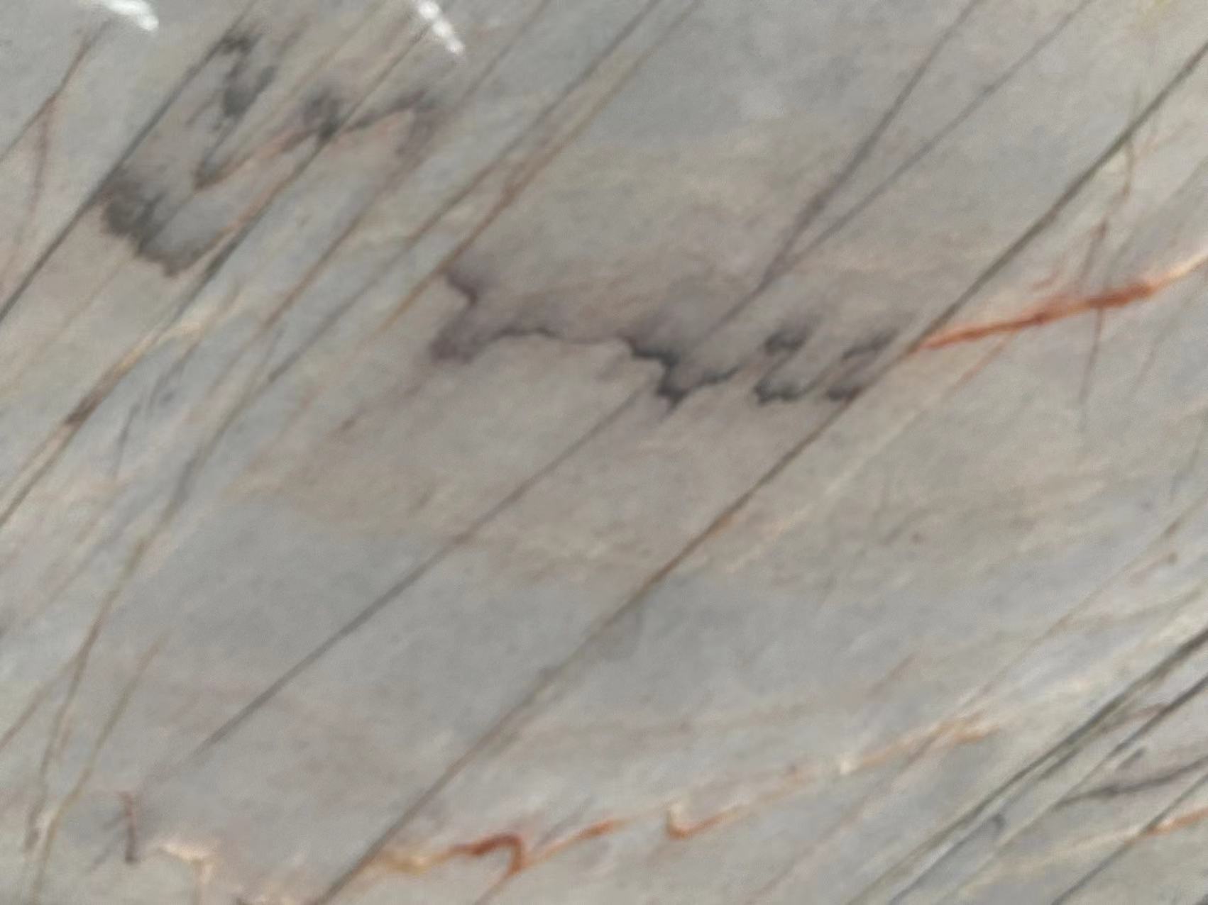 Paramount Quartzite