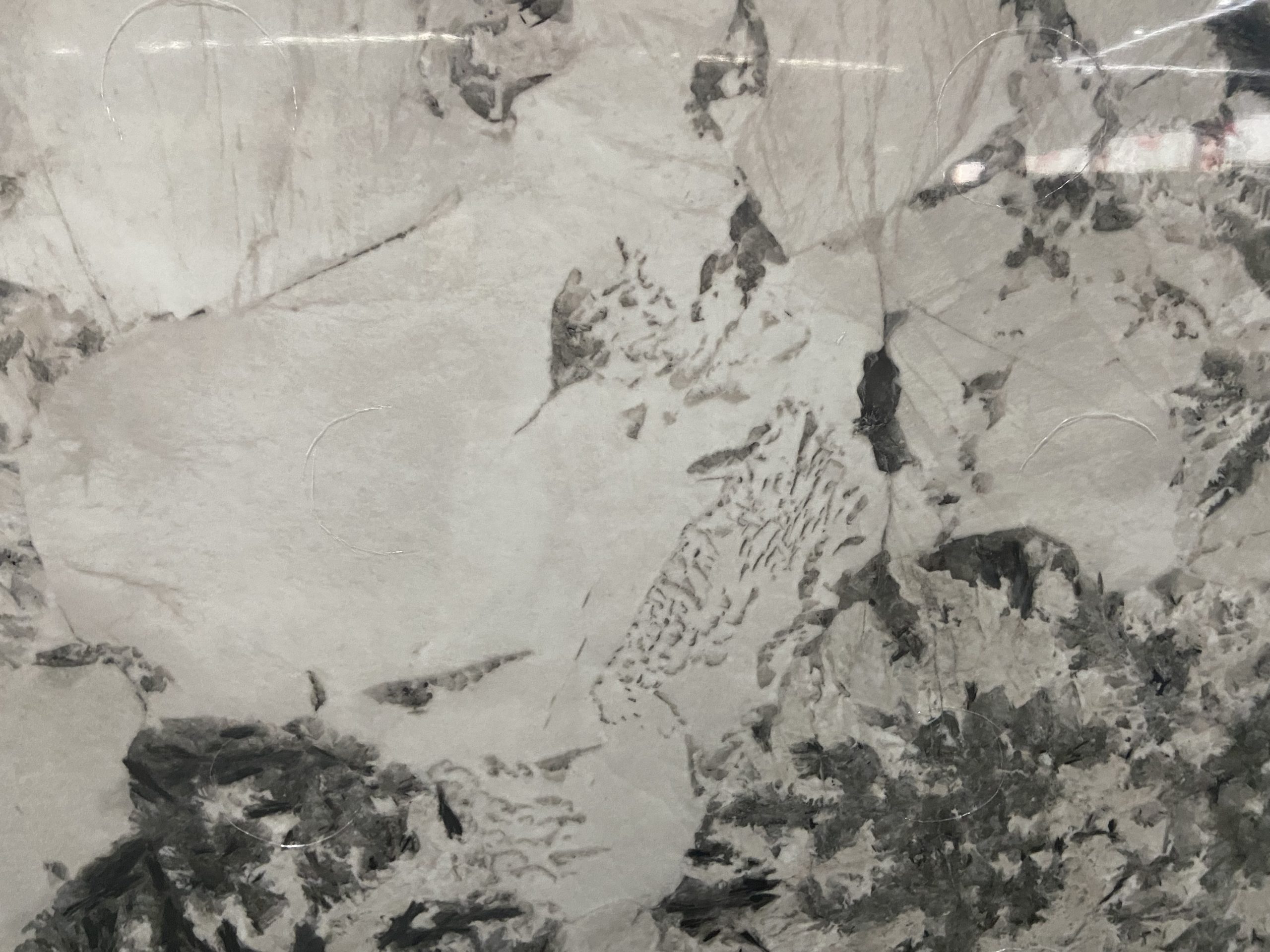 Patagonia Sintered Stone