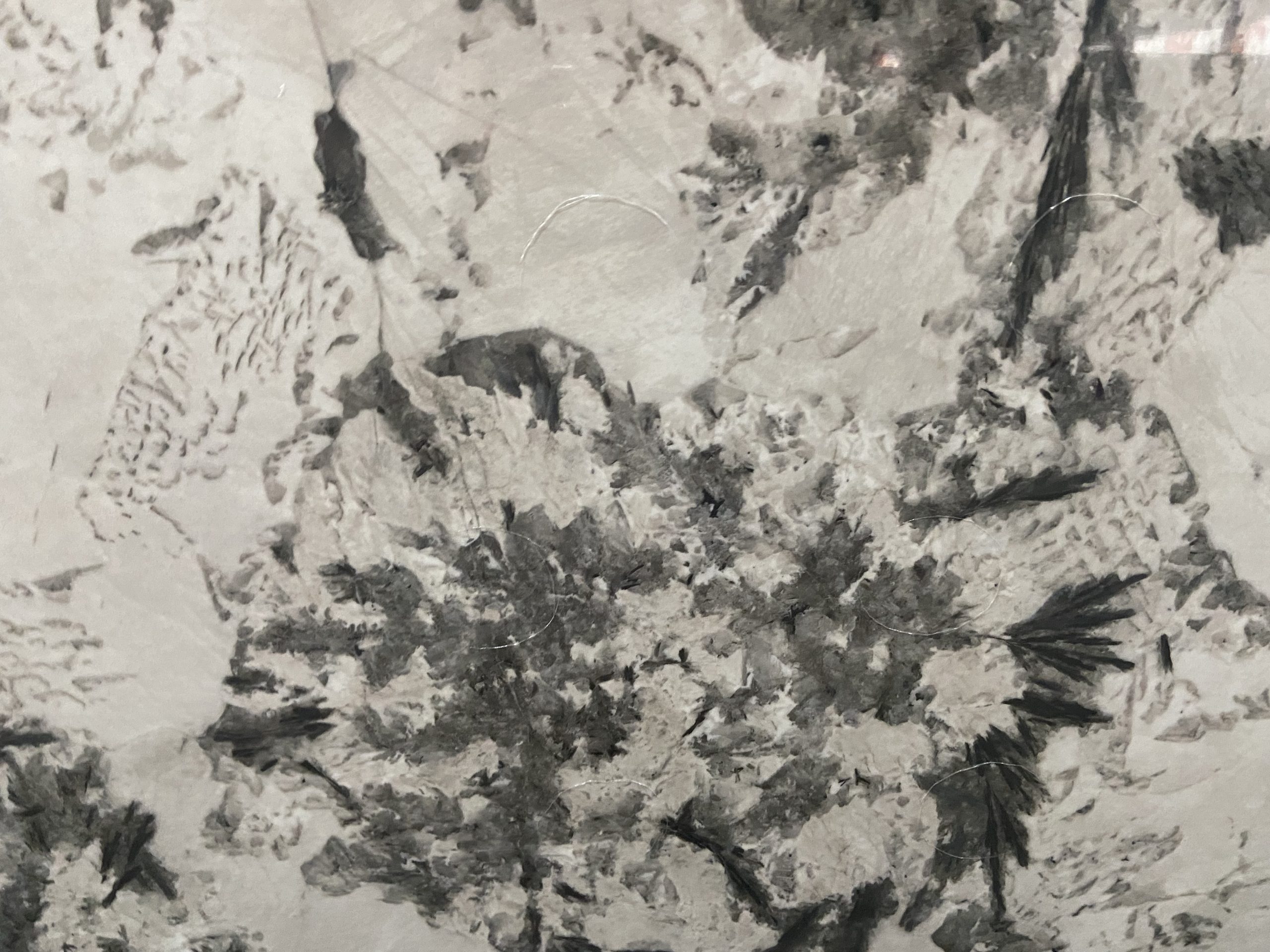 Patagonia Sintered Stone