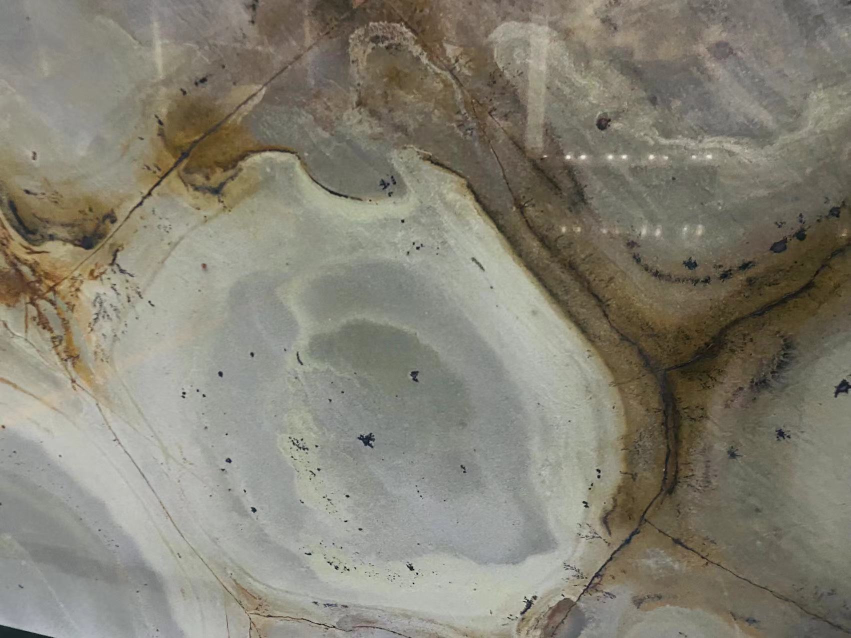 Green Turtle Quartzite