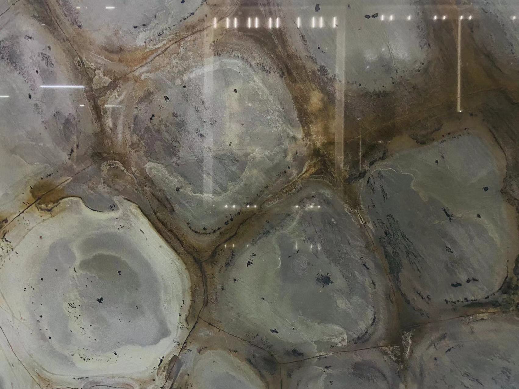 Green Turtle Quartzite